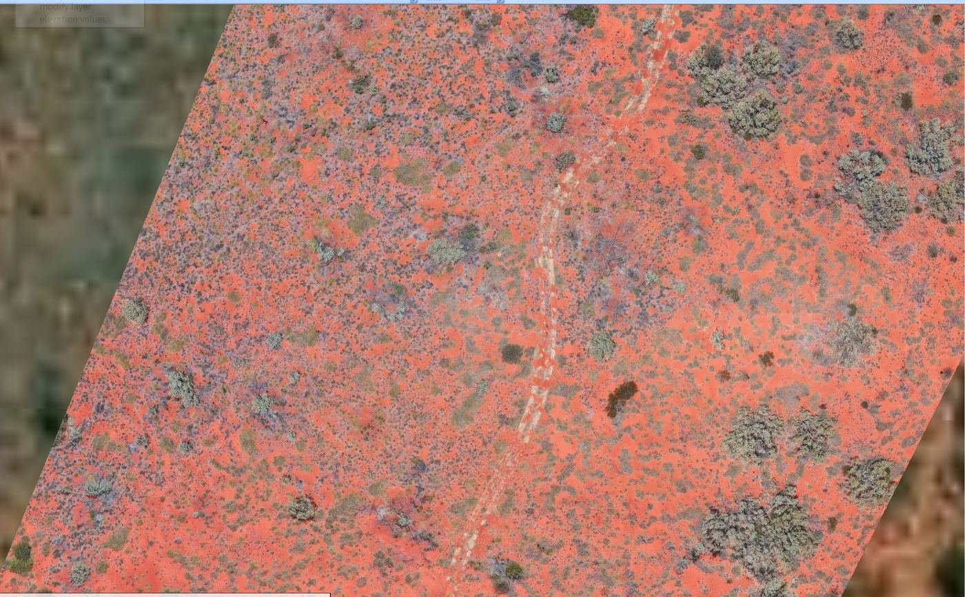 Drone orthomosaic of arid terrain vegetation