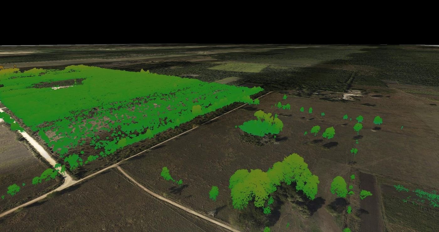 LiDAR point-cloud vegetation classification