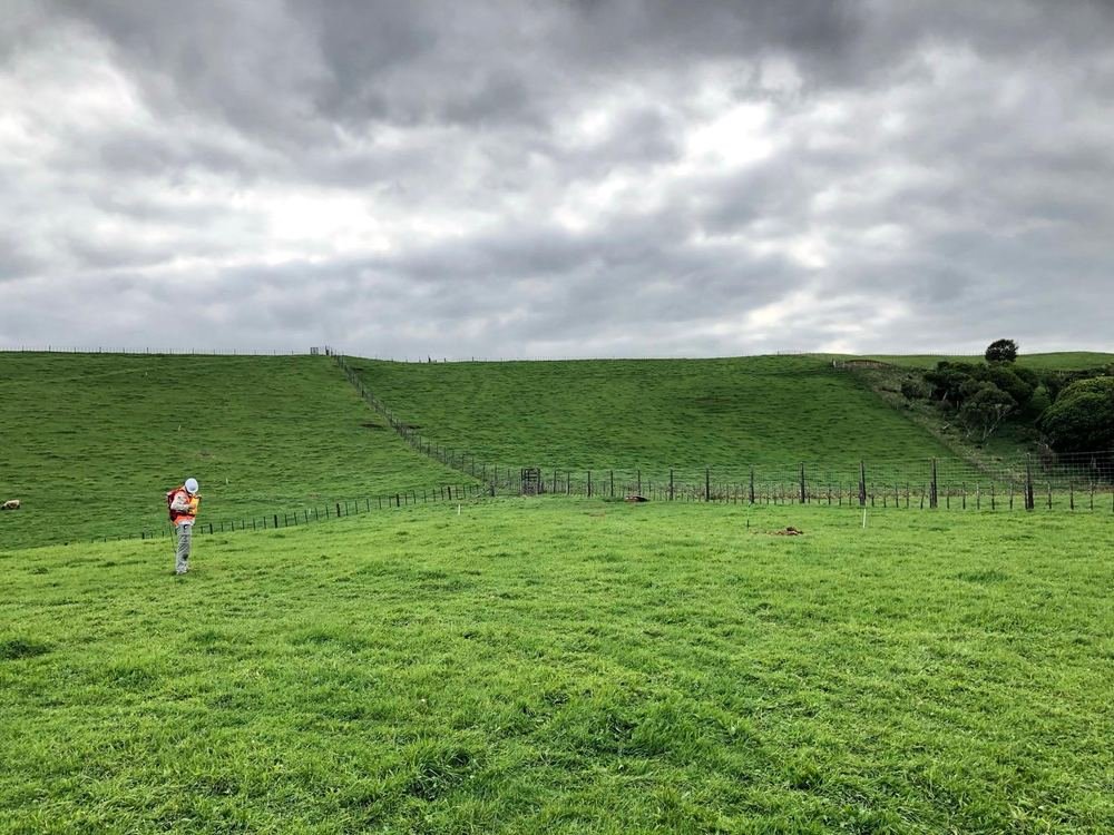Field survey in green pasture, Taranaki Basin New Zealand